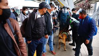 Dos raqueteros fueron capturados en pleno robo en estación del Metropolitano de Tomas Valle (FOTOS)