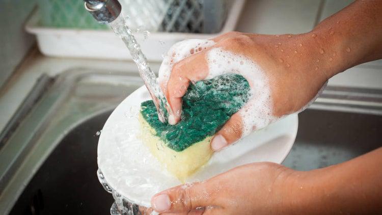 Las esponjas son la mayor fuente de cotaminación (Foto: Pixabay)