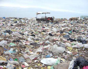 Cooperación Japonesa llegará en mayo