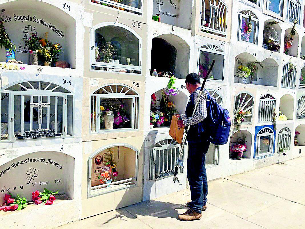 Hallan larvas de dengue en el cementerio ex Metropolitano