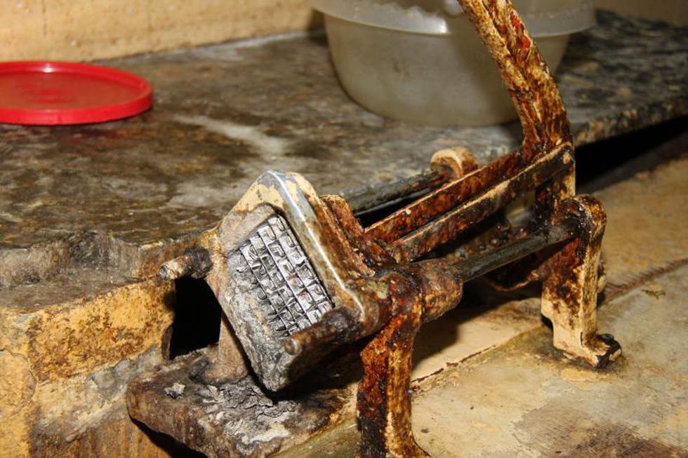 Excremento de roedor y cucarachas en restaurante (Fotos)