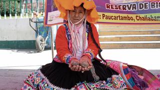 Productores de nueve regiones llegan a Huancayo para trueque de semillas