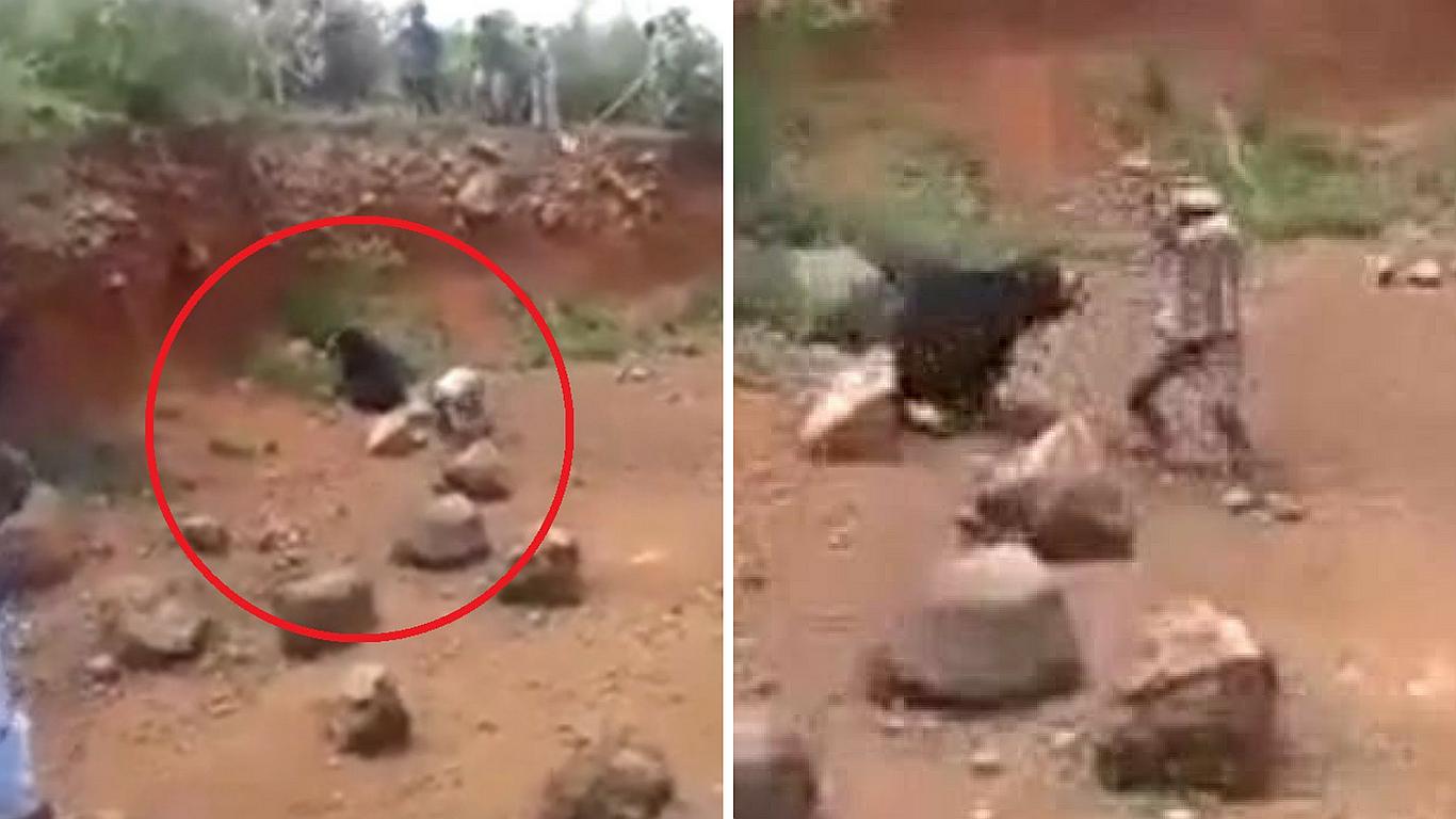 ​Hombre es brutalmente atacado por oso cuando intenta tomarse 'selfie' (FOTOS)