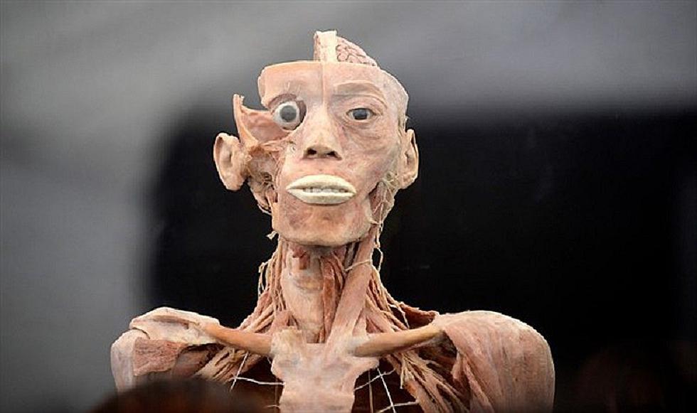 La ciencia revela cómo será el rostro humano en 100 mil años (IMÁGENES)