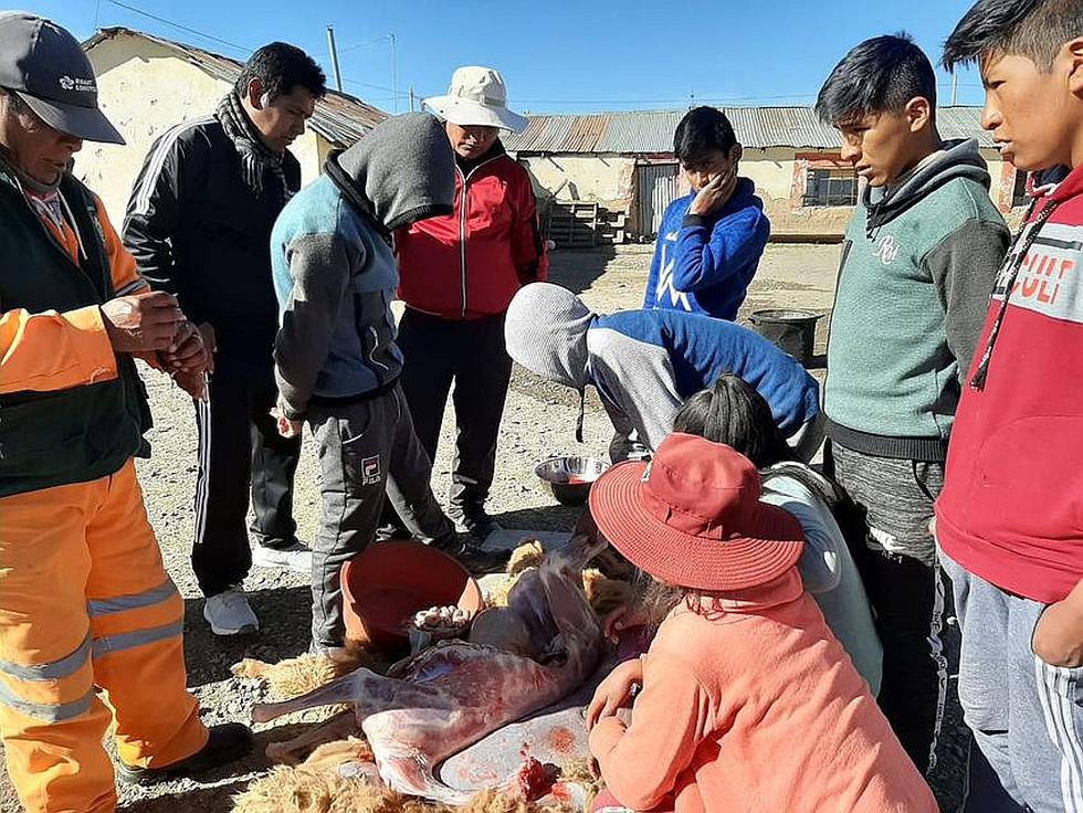 Cuando el frío no puede con la educación a más de 4,700 m.s.n.m. (FOTOS)