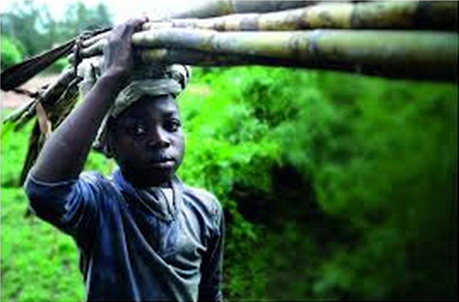 Kenia esclavitud: De turismo sexual a trabajos forzados