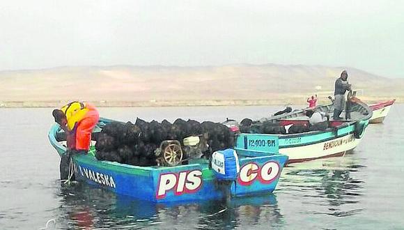 Pescadores artesanales de Pisco piden destitución del encargado de Sanipes