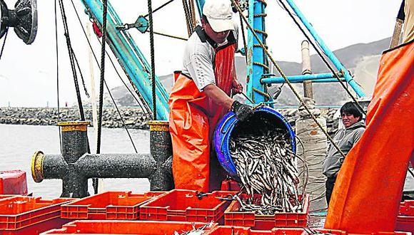 Industria pesquera pasa peor crisis que con El Niño por el DS 005-2012