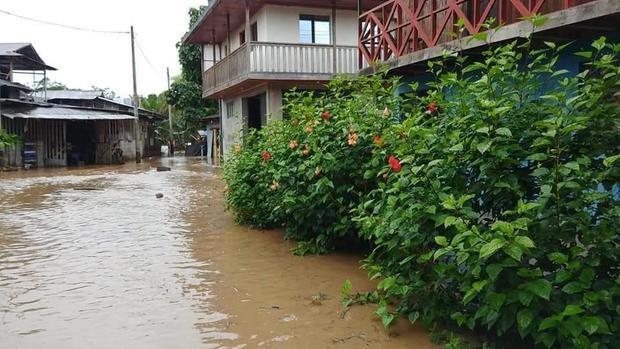 Áreas de cultivos y cientos de viviendas inundadas por el desborde de los ríos (Foto: COER Pasco).