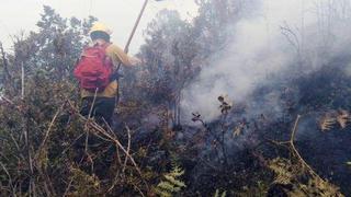 Reportan que incendio forestal en santuario de Machu Picchu fue controlado (FOTOS)