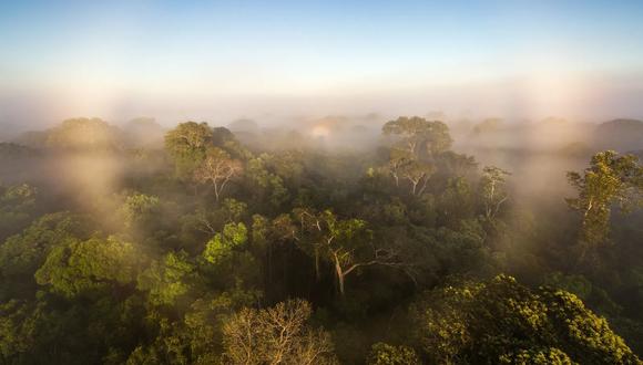Según un nuevo estudio, la Amazonía ya no almacena carbono para nuestro planeta. Por el contrario, contribuye con el calentamiento global. (Foto: National Geographic)