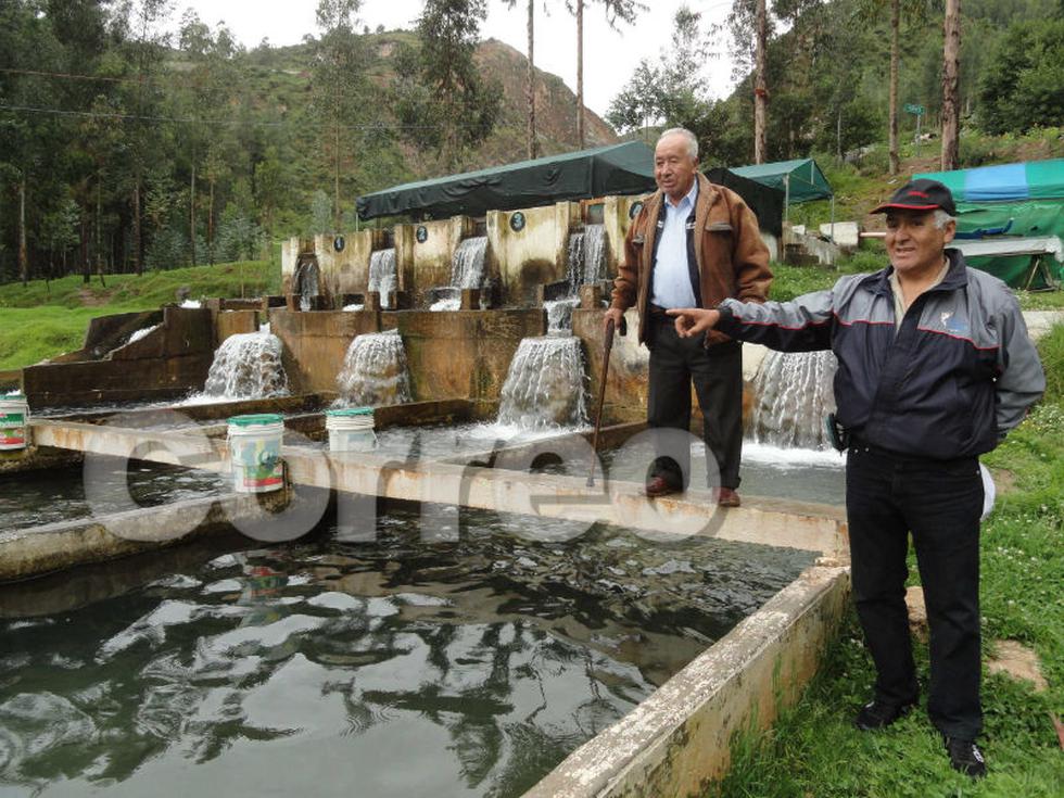 Chalhuas produce 180 toneladas de trucha  (FOTOS)