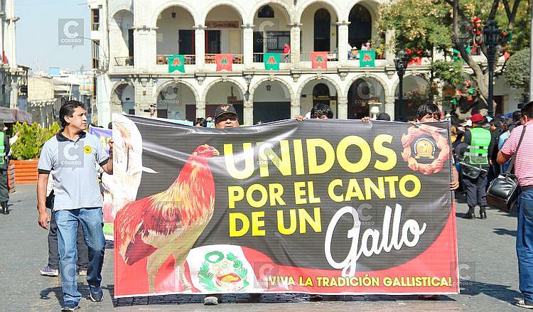 Prohibición de pelea de gallos dejaría a 90 mil personas sin trabajo