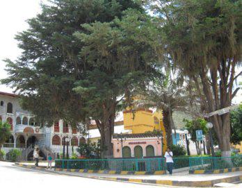 Denuncian a supuestos golondrinos