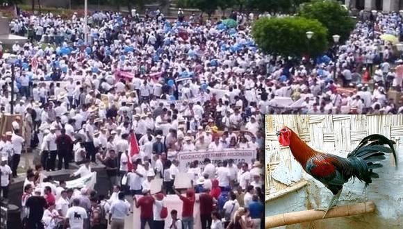 Unión de Galleros del Perú anuncia vigilia a favor de pelea de gallos en sede oficial del TC