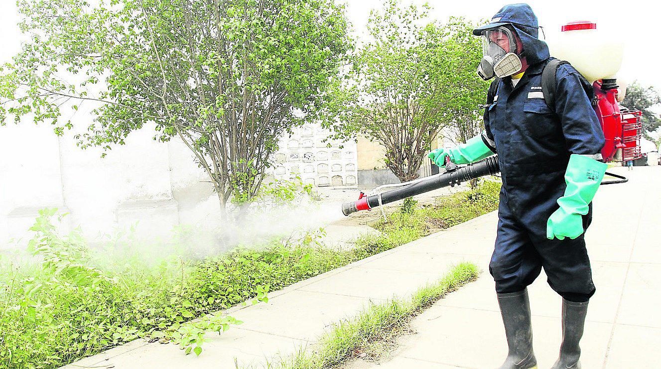 Chimbote: Detectan cinco probables casos de dengue