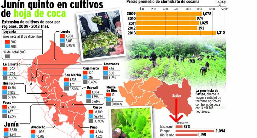 Junín, quinto en terrenos de cultivos con hoja de coca PERU CORREO