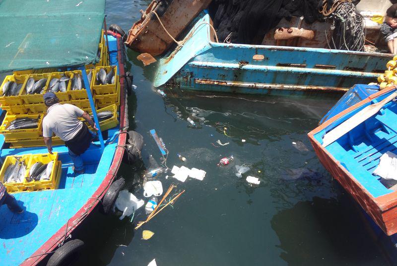 La contaminación marina, un grave problema en Ilo
