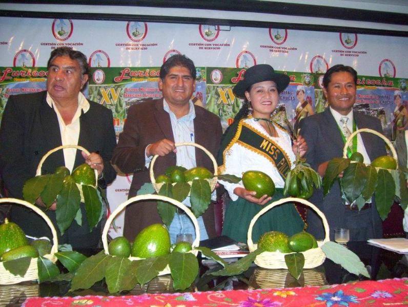 Huanta: Alista Festival de la Palta en Luricocha