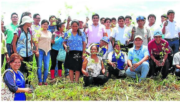​Red Iberoamericana de Bosques Modelo se reunirá en Pichanaki