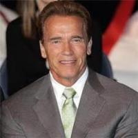 Schwarzenegger se aleja de las pantallas para resolver crisis familiar