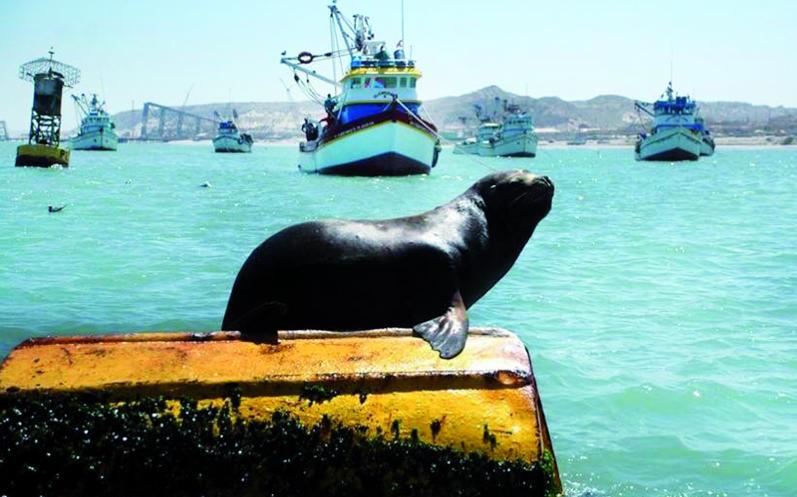 Comuna y microempresarios promueven el turismo en la provincia de Talara