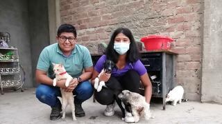 Menor crea refugio para mascotas abandonadas en la provincia de Chincha