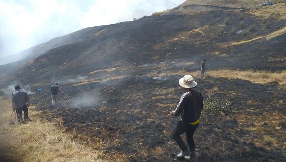 Incendios forestales afectan flora y fauna silvestre
