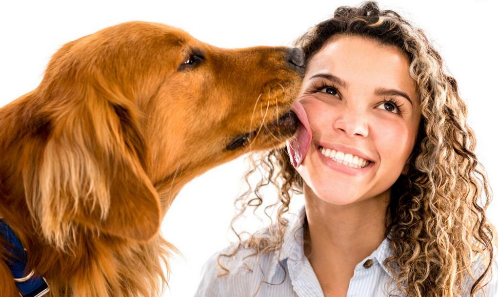 Besos de los perros son excelentes para la salud humana, actúan como probiótico 