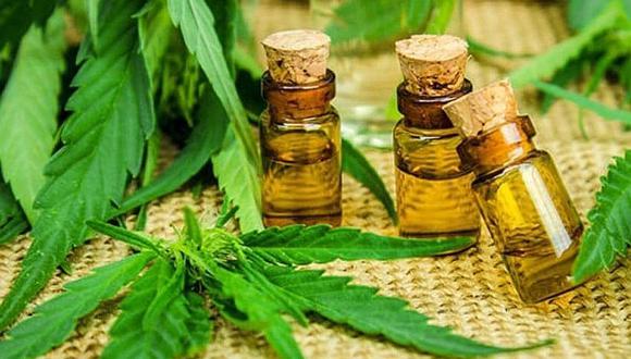 Devida saluda promulgación de la ley que regula el uso del cannabis medicinal