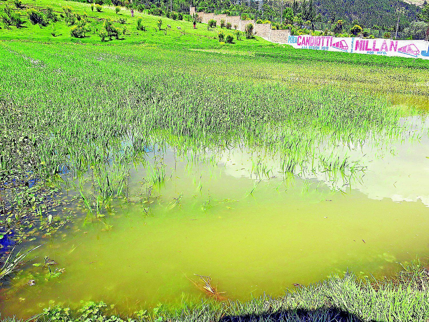 Basura provoca desborde de canales de riego y amenazan campos de cultivo