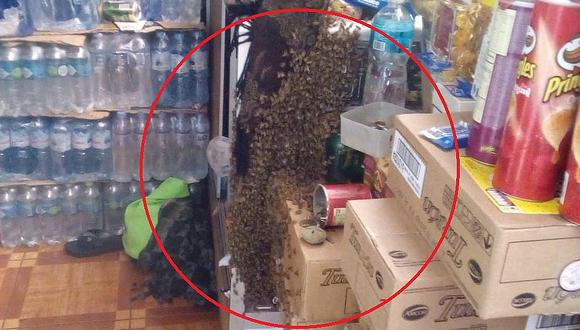 Enjambre de abejas causa pánico en el centro Comercial 28 de Julio