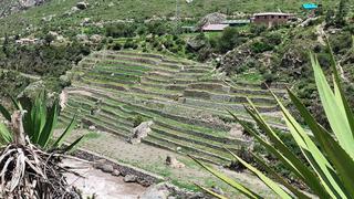 Concluye restauración de andenería inca en Machu Picchu (FOTOS)