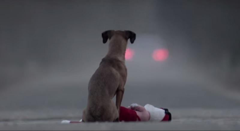 YouTube: Este es el poderoso corto para crear conciencia sobre el abandono de perros (VIDEO)