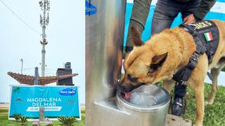 Magdalena: Instalan bebedero que transforma humedad en agua potable para personas y mascotas