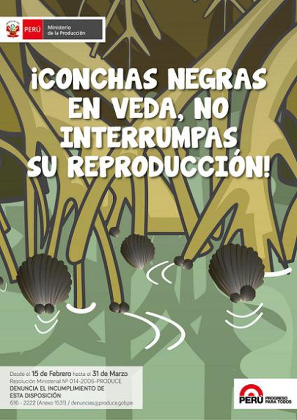 Veda de conchas negras empieza este 15 de febrero