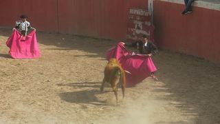 TC: Transmitirán debate de proyecto de ponencia sobre constitucionalidad de la tauromaquia y gallística