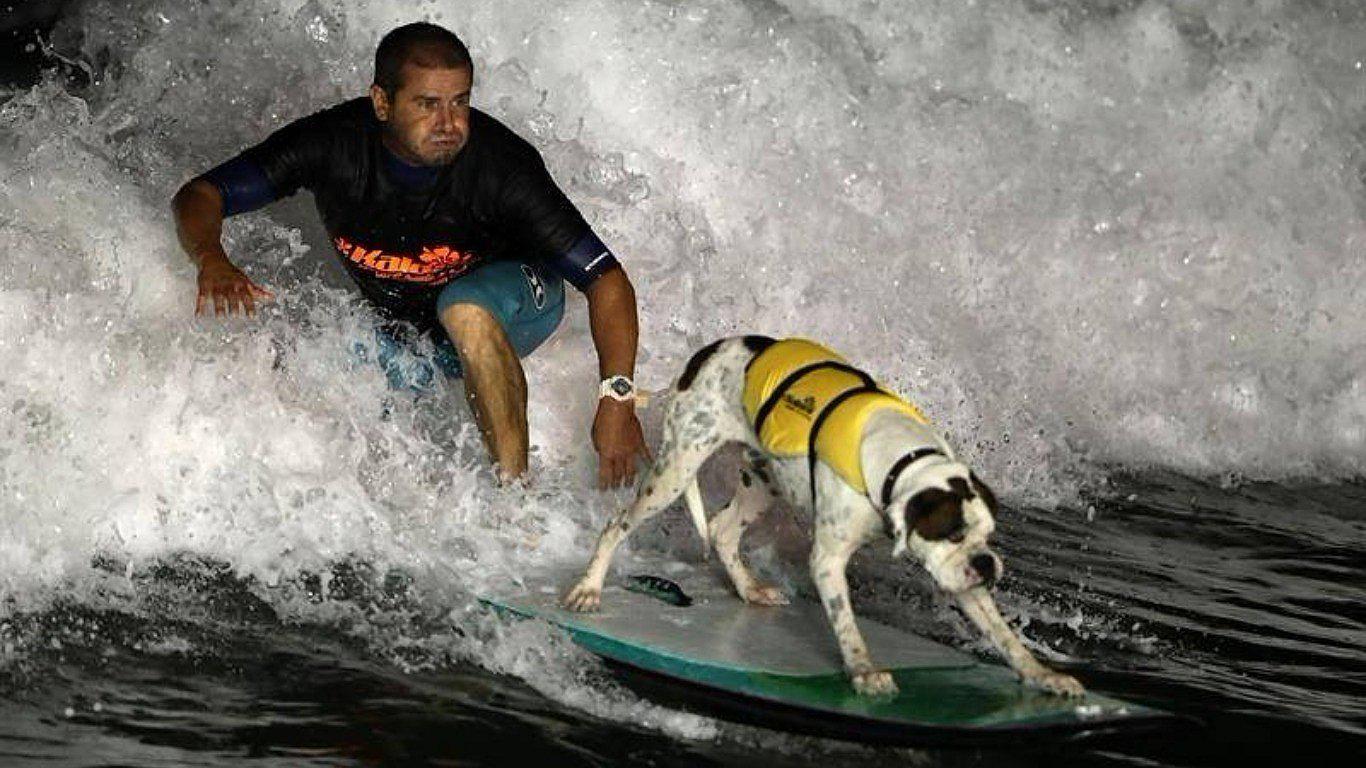 San Bartolo: Surfista y su perro participaron en competencia mundial de surfing