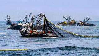 Chimbote: Solicitan el cierre de la segunda temporada de pesca de anchoveta