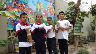 Dengue en Chincha: Niños crean repelente orgánico a base de Manzanilla