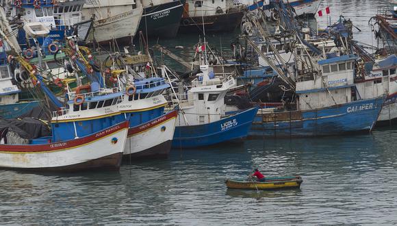 ​SNP advierte que Industria pesquera pierde competitividad