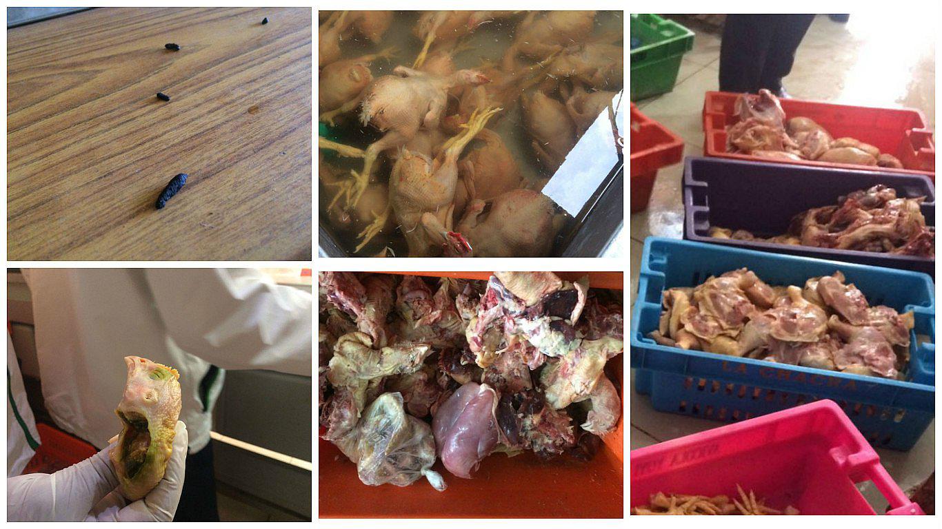 Así se almacenan carne de pollo y cerdos en locales de Huancayo (VIDEO)