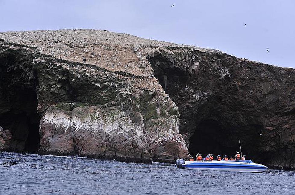 Plantearán ante la Unesco que la Reserva Nacional de Paracas sea Patrimonio de la Humanidad
