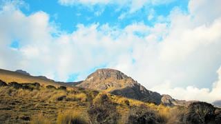 El Bosque de Neblina de Junín es declarado como Reserva de Biósfera por la UNESCO