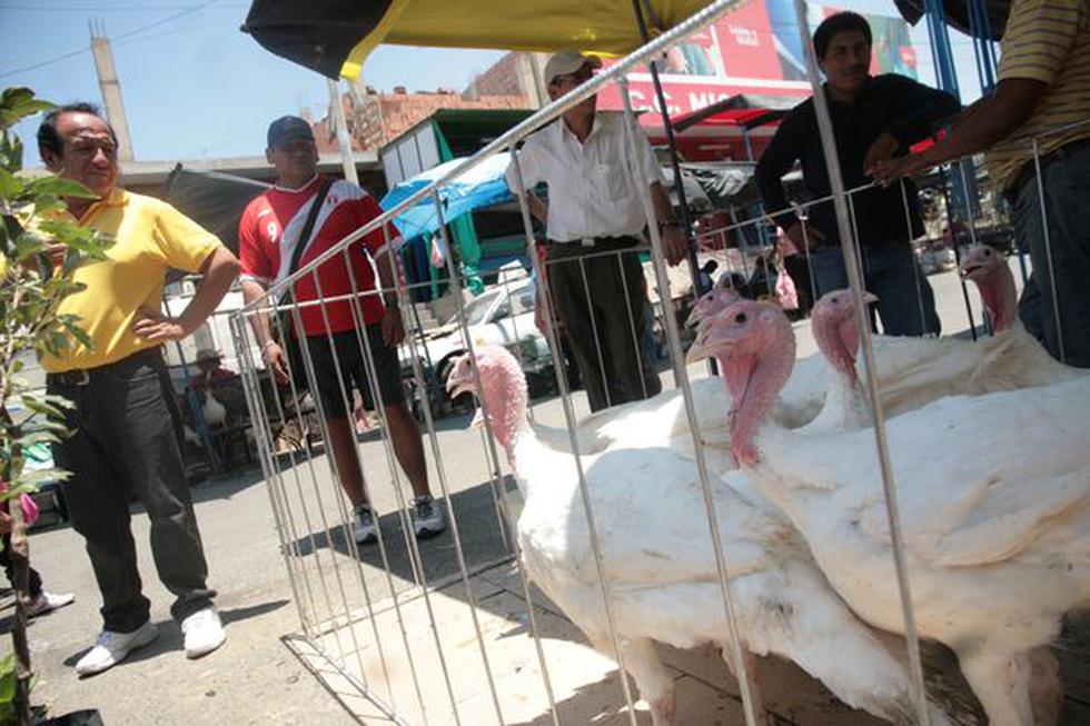 Nochebuena: Precios bajos del pollo podrían desplazar al pavo 