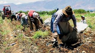 ¿Cuál sería el impacto de la eliminación gradual de los beneficios tributarios de la Ley de Promoción Agraria? 