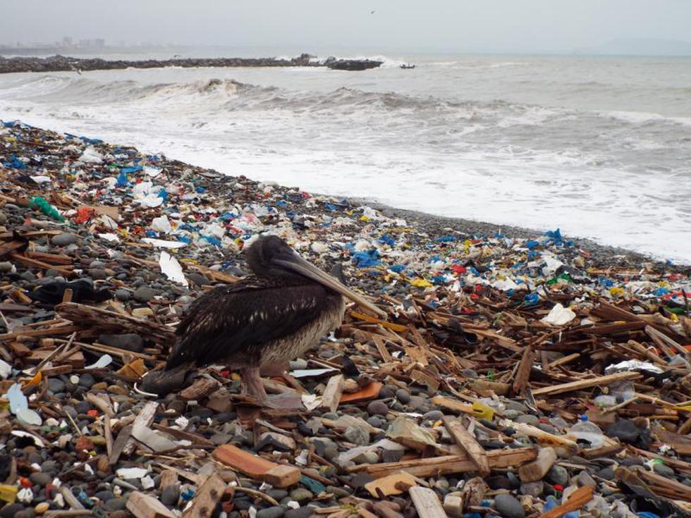 20 toneladas de basura se recogieron de playa del Callao (FOTOS)