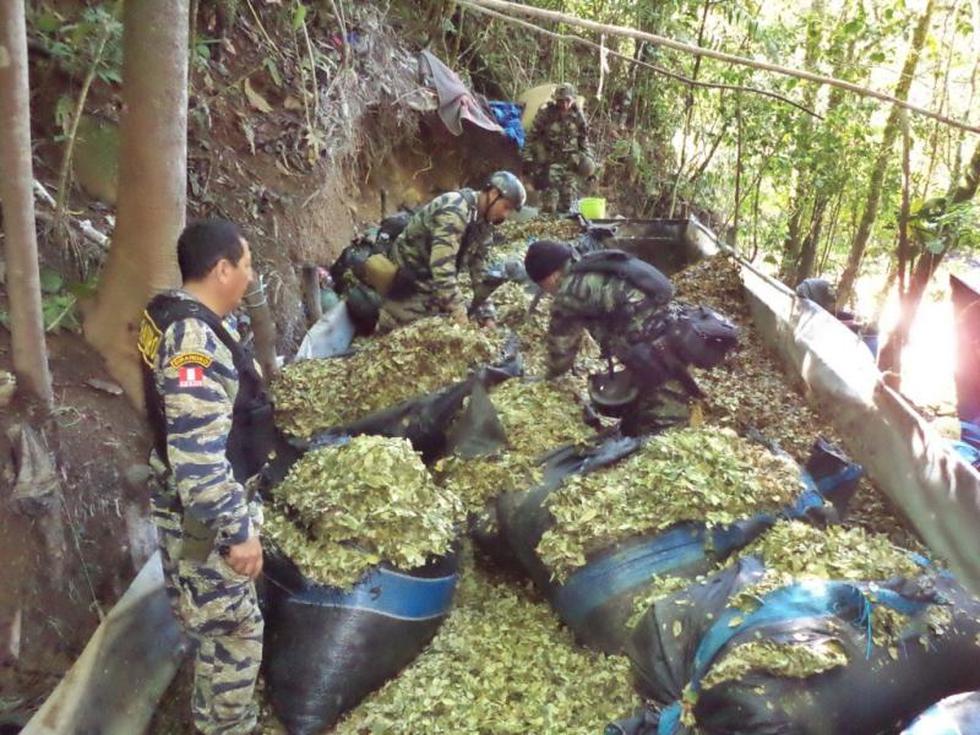 Erradicaron más de 22 mil hectáreas de hoja de coca ilegal en 2013