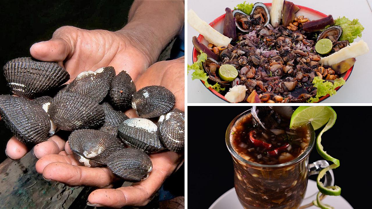 Peruanos no podrán preparar ni consumir platillos de conchas negras por veda de mes y medio