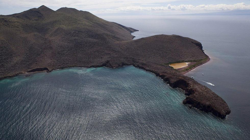 Ordenan prisión contra 32 peruanos y un venezolano por pescar especies en peligro de extinción en Ecuador